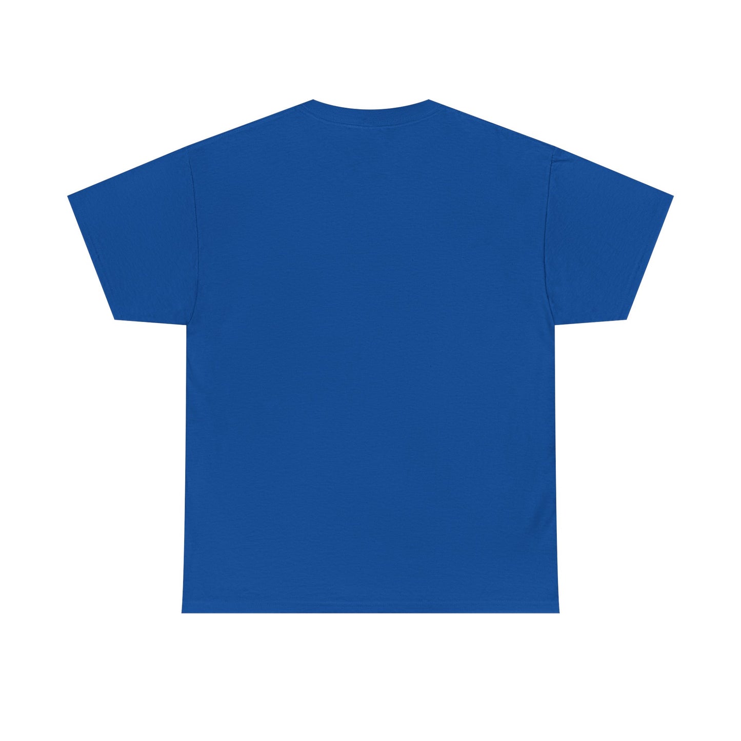 Low Expectations Solid Results T‑Shirt — Funny Raccoon Apocalypse Graphic Tee